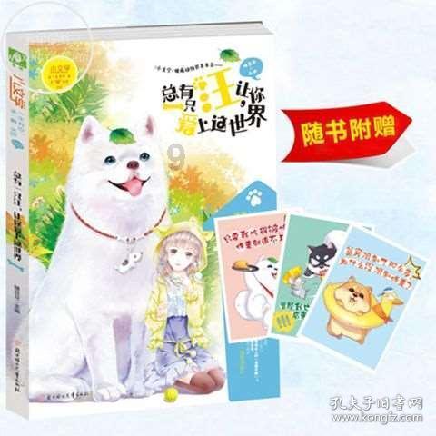 芭比的时尚新娘装